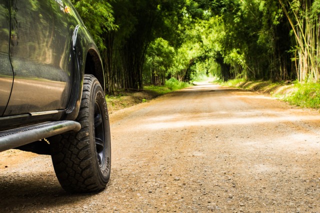 photo: S.Wacharaphong / Shutterstock.com