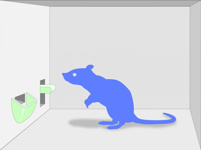 スキナーボックス